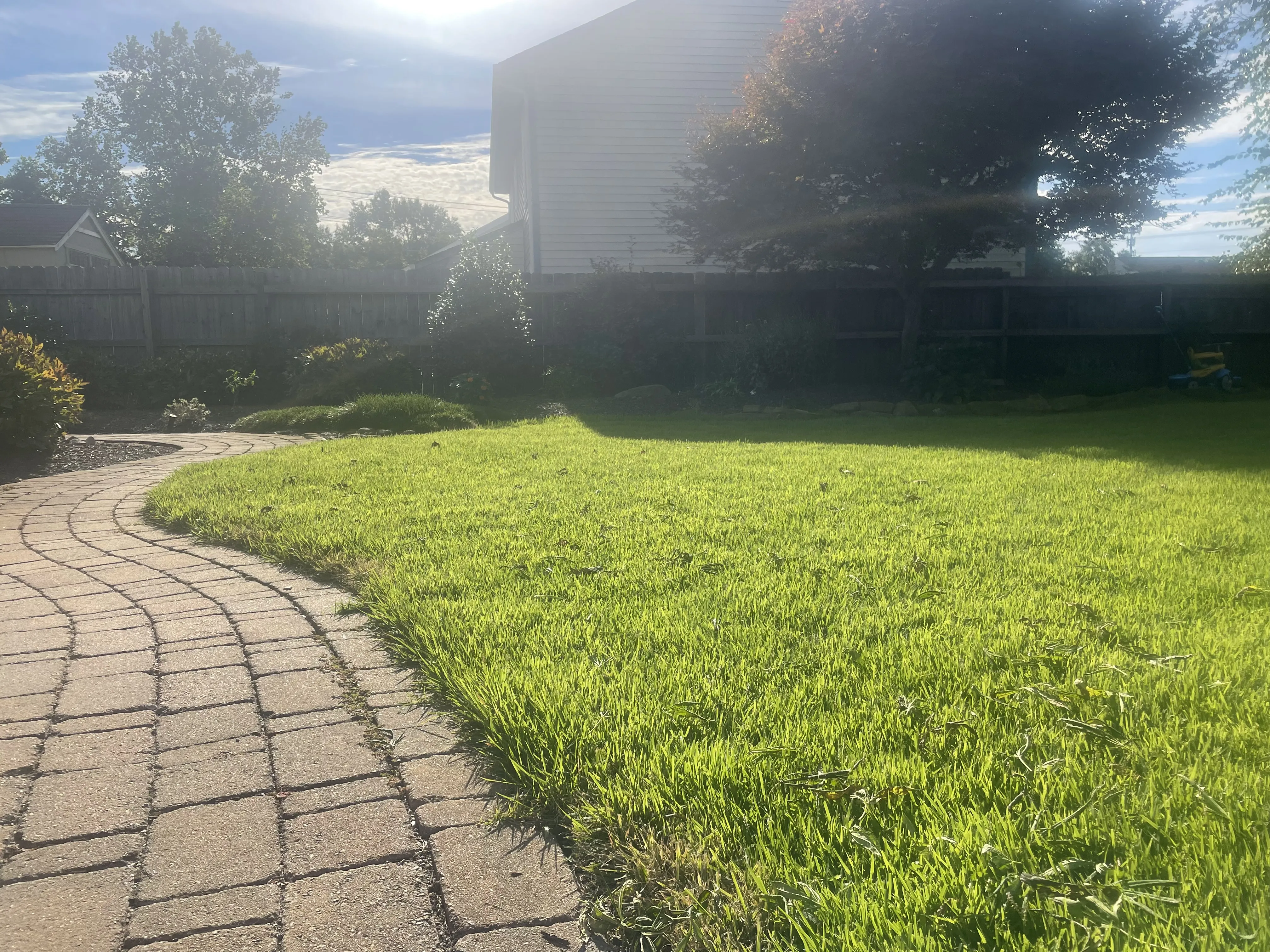 Sunny backyard with green grass and paved walkway