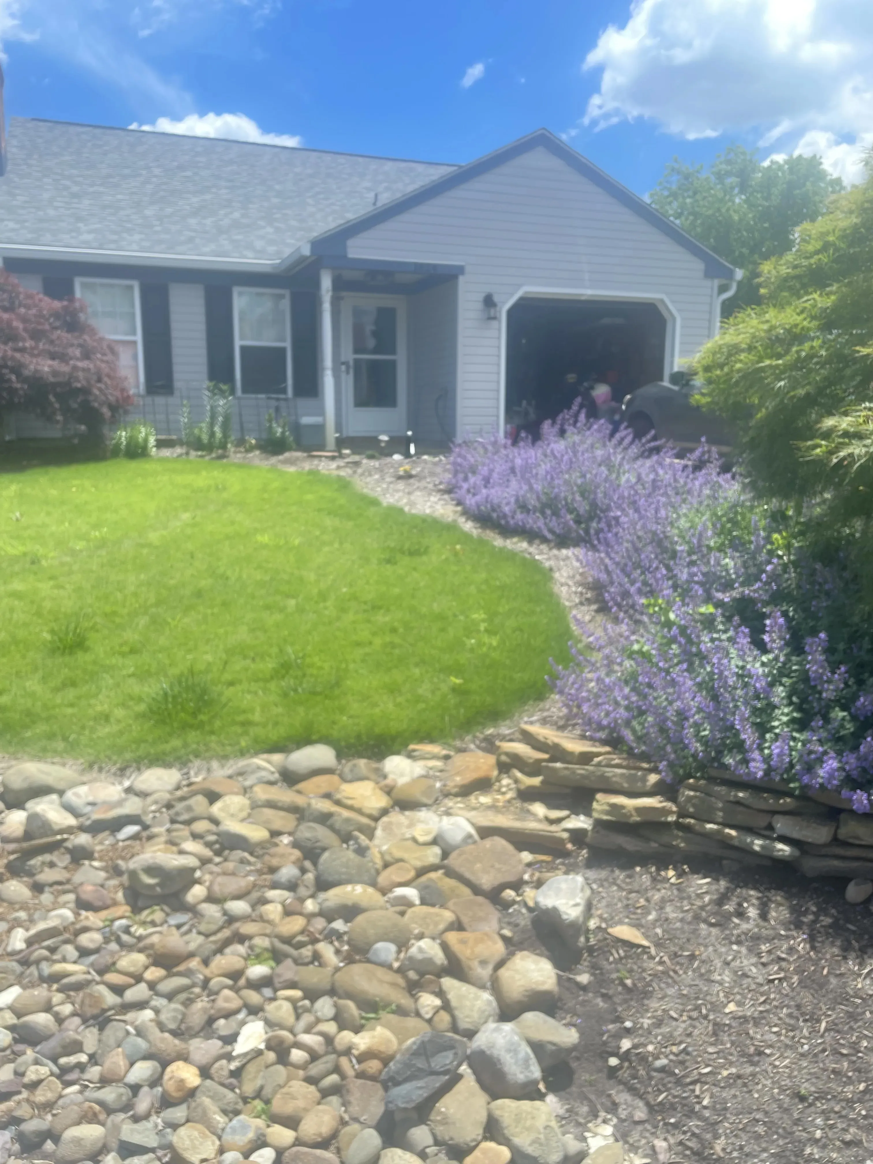 Backyard with purple flowers and rock landscaping