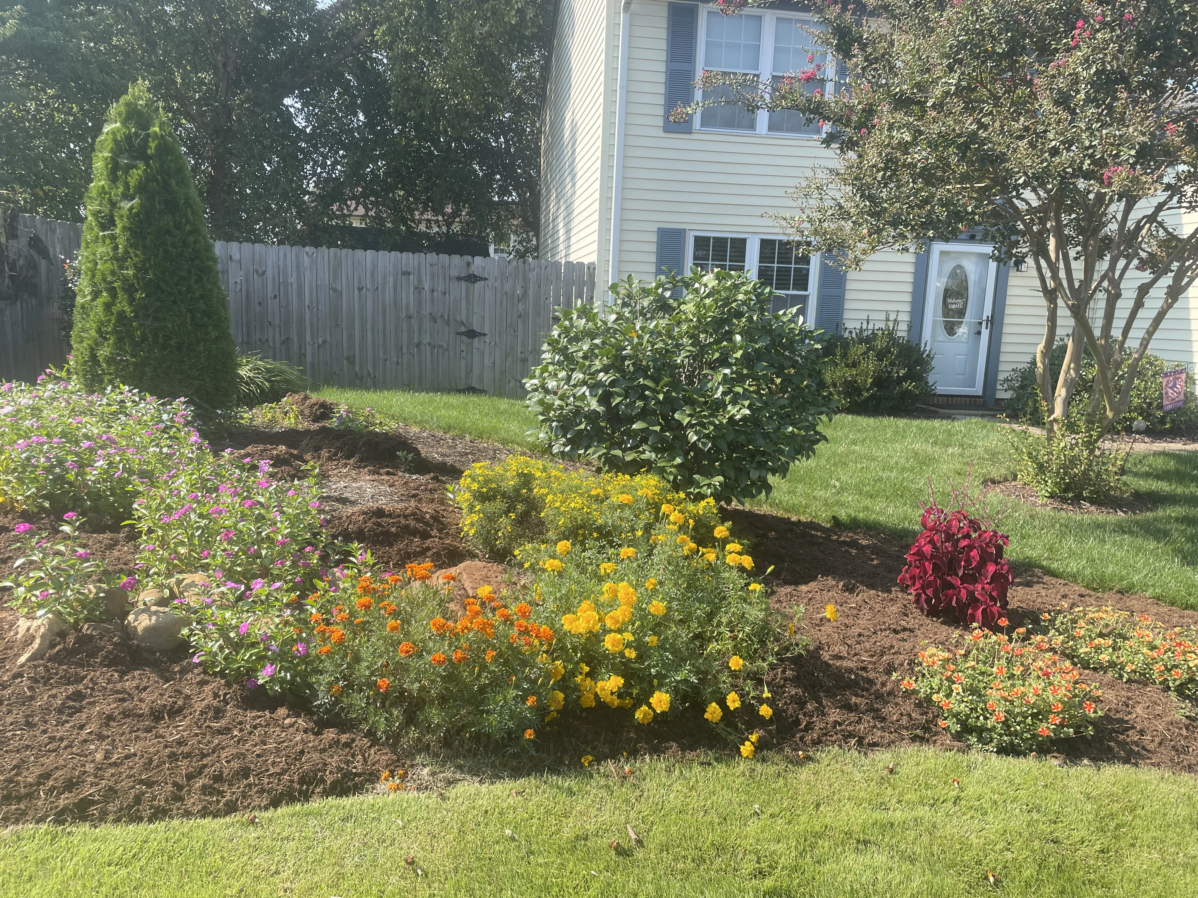 Flower bed with orange and purple flowers in front of a house