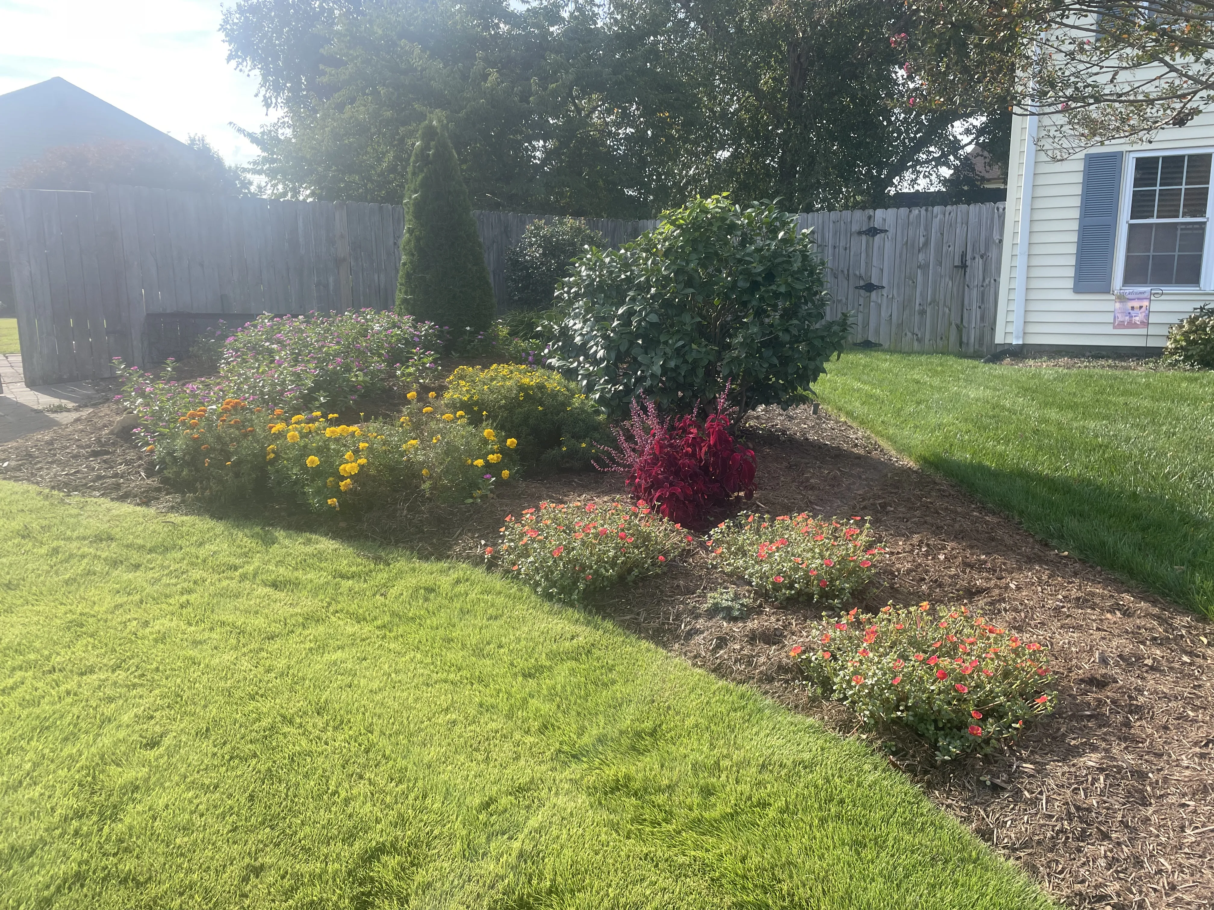 Beautiful garden bed with yellow, red, and purple flowers