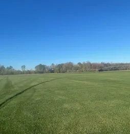 Professional lawn care result