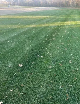 Pristine, freshly cut green lawn showing professional sod installation